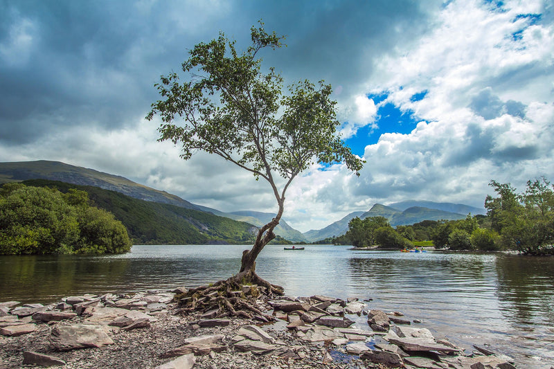 Majestic Peaks of Snowdonia